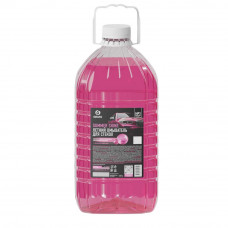 Моющее средство для стекол Summer Shine, Bubble Gum (канистра 5л),  арт. 110585